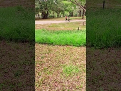 فناوری نوآورانه پانل خورشیدی قابل حمل 100 وات برای ماجراجویی های در فضای باز