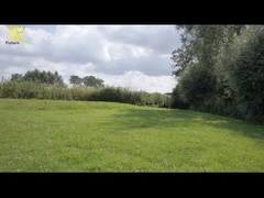 IBC پانل خورشیدی